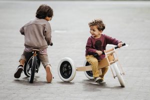 Wishbone Bike